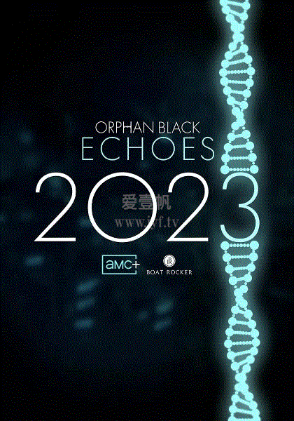 黑色孤儿：回响