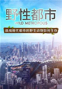 野性都市