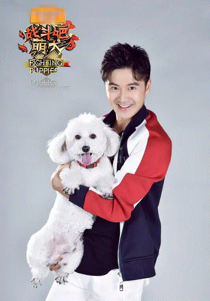 战斗吧萌犬