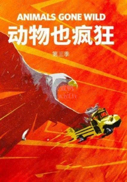动物也疯狂第3季