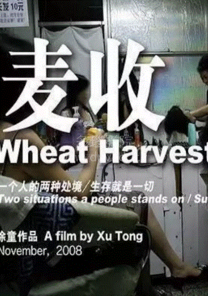 麦收