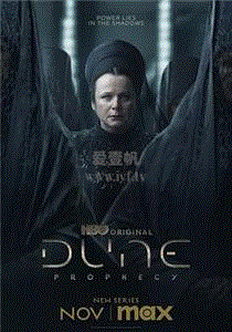 沙丘：预言