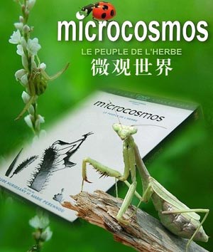 微观世界