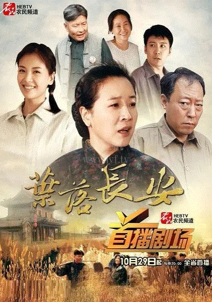 叶落长安