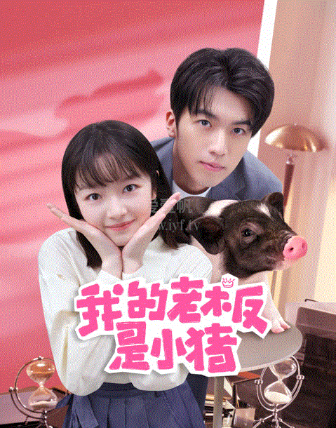 我的老板是小猪