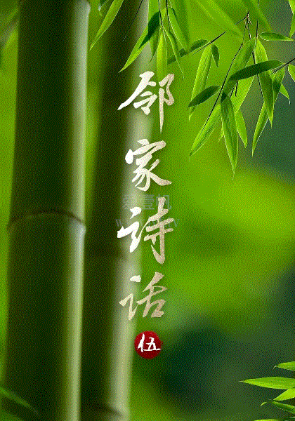 邻家诗话第5季