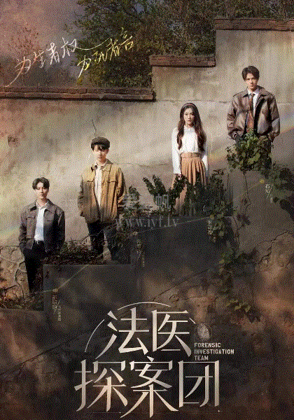 法医探案团