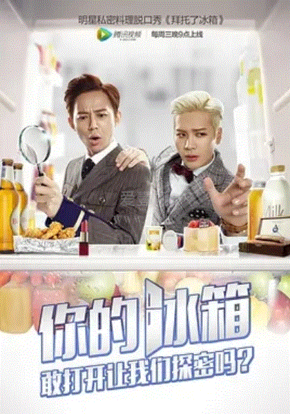 拜托了冰箱中国版