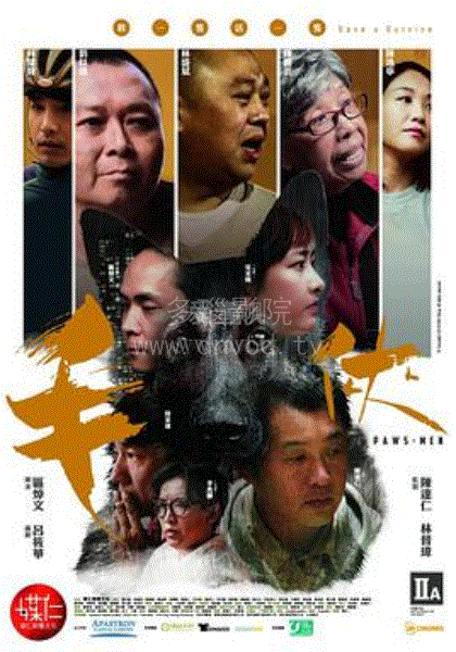 毛侠