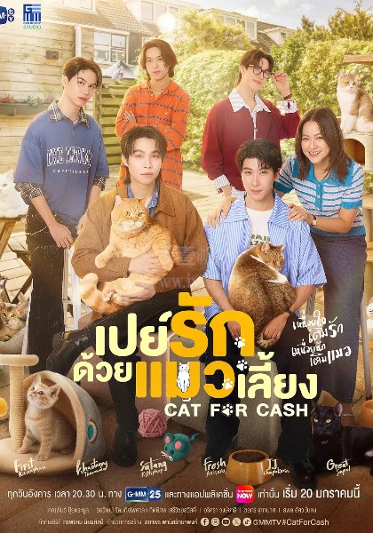 以猫饲爱