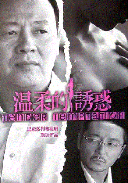 温柔系列第6部之温柔的诱惑