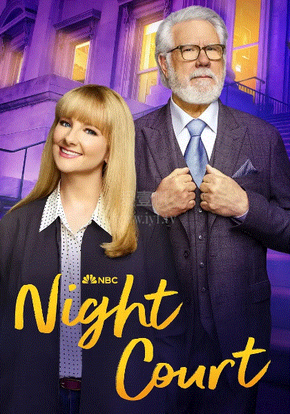 夜间法庭第2季
