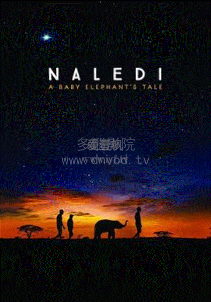 纳勒迪：一只小象的故事